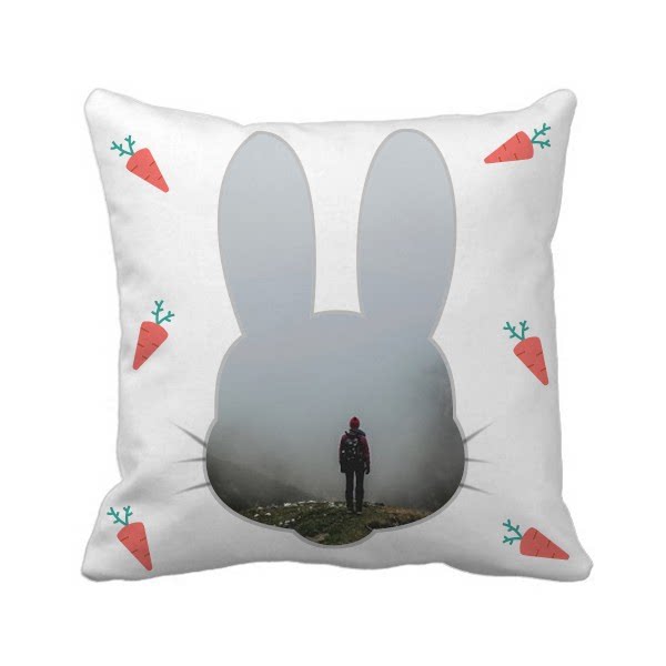 云海雾山旅行孤独户外兔子方形抱枕靠枕沙发靠垫双面含芯礼物