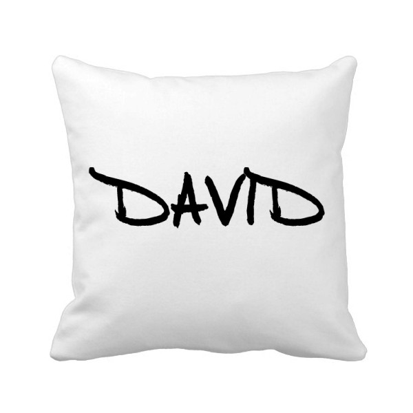手写英文名个性私人订制david方形抱枕靠枕沙发靠垫双面含芯礼物