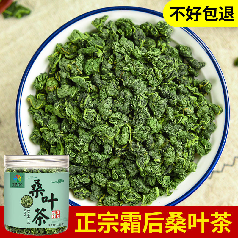 霜后新鲜正宗桑叶茶养生花草茶