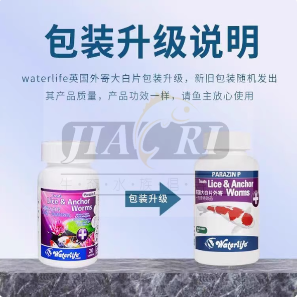 进口正品英国大白片Waterlife厌食头洞白便肠炎寄生虫腹水内外寄