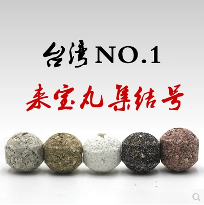 台湾NO1TW滤材来宝丸金龙红龙鱼魟鱼硝化细菌鱼缸过滤材料细菌屋