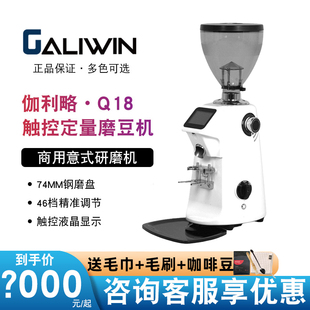 伽利略 商用家用电动咖啡定量咖啡豆研磨机磨豆机 GALIWIN Q18意式
