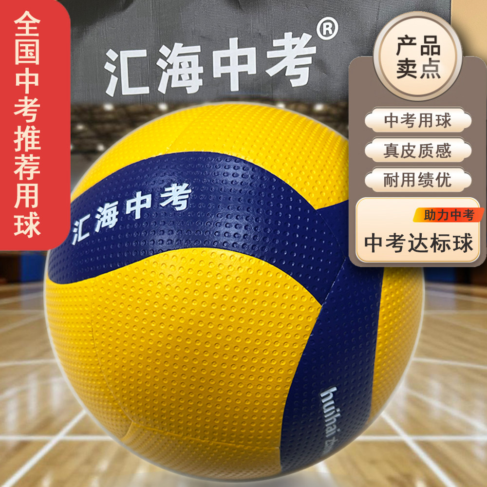 汇海中考5号排球中考体育用球