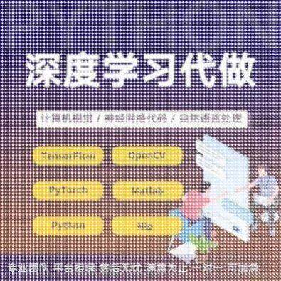 python深度学习pytorch算法神经网路代码nlp程序代 做机器爬虫编