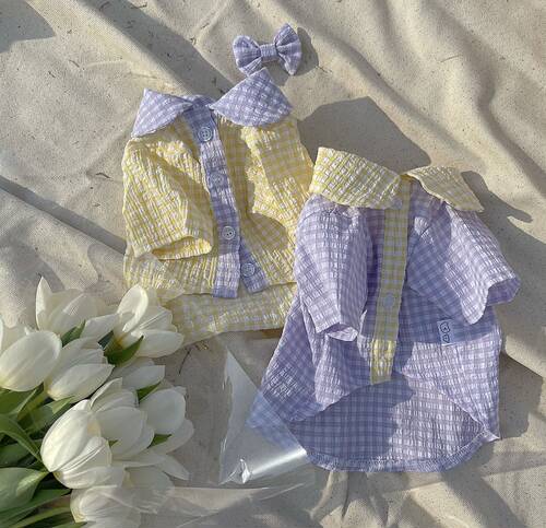 马尔济斯宠物情侣衣服