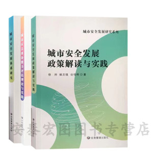 城市安全发展体系研究城市应急准备能力评估理论与实践城市安全发展政策解读与实践套装 3本城市安全发展研究系列