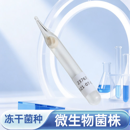 NUCCC 菌盒子 乳酸乳球菌乳亚种 Lactococcus lactis ATCC 19435