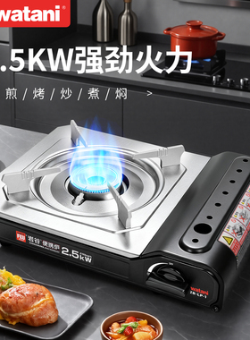 新款岩谷卡式炉户外便携式2.5KW炉具露营野餐瓦斯炉燃气灶ZB-LP-1