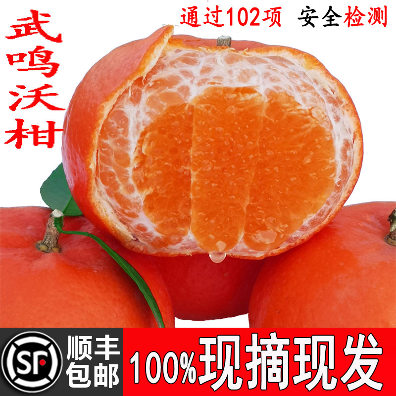 武鸣沃柑一级大果10斤新鲜水果当季整箱沙糖蜜橘砂糖柑橘桔子橘子,水产肉类/新鲜蔬果/熟食,桔子,淘宝优惠券,粉丝福利购,淘宝优惠卷