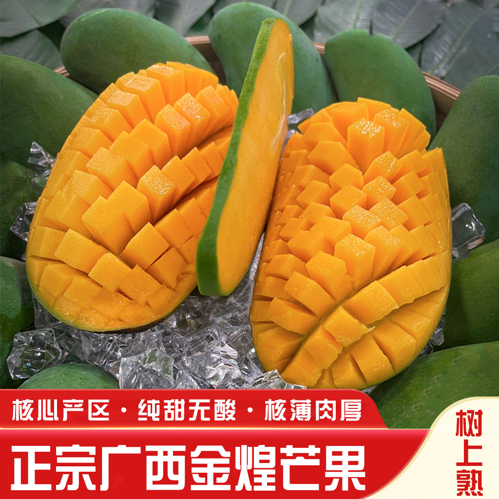 正宗纯甜大青芒果新鲜水果当季金煌芒果百色金煌芒果净重9斤