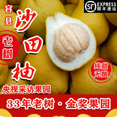 沙田柚容县沙田柚顺丰配送