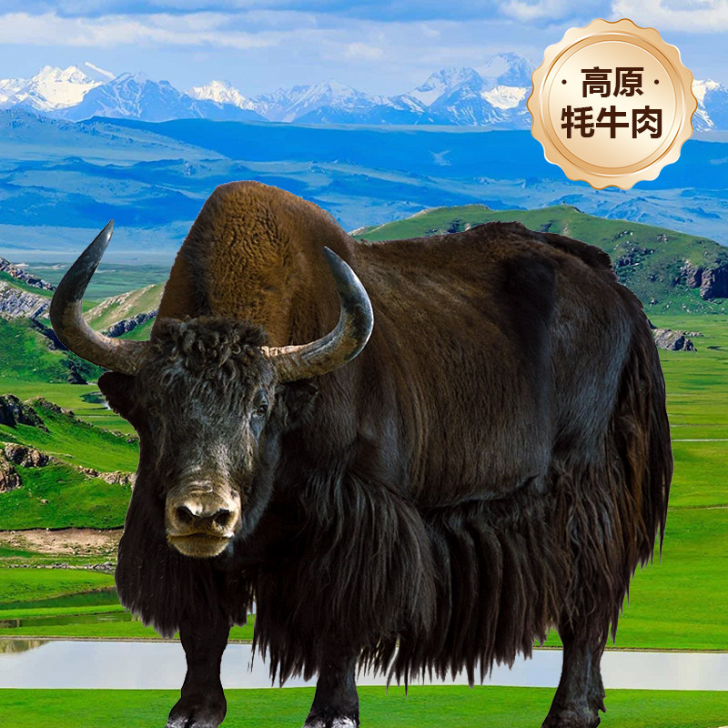 【4斤】正宗牦牛腿肉连骨新疆高原新鲜现杀火锅烧烤食材顺丰包邮
