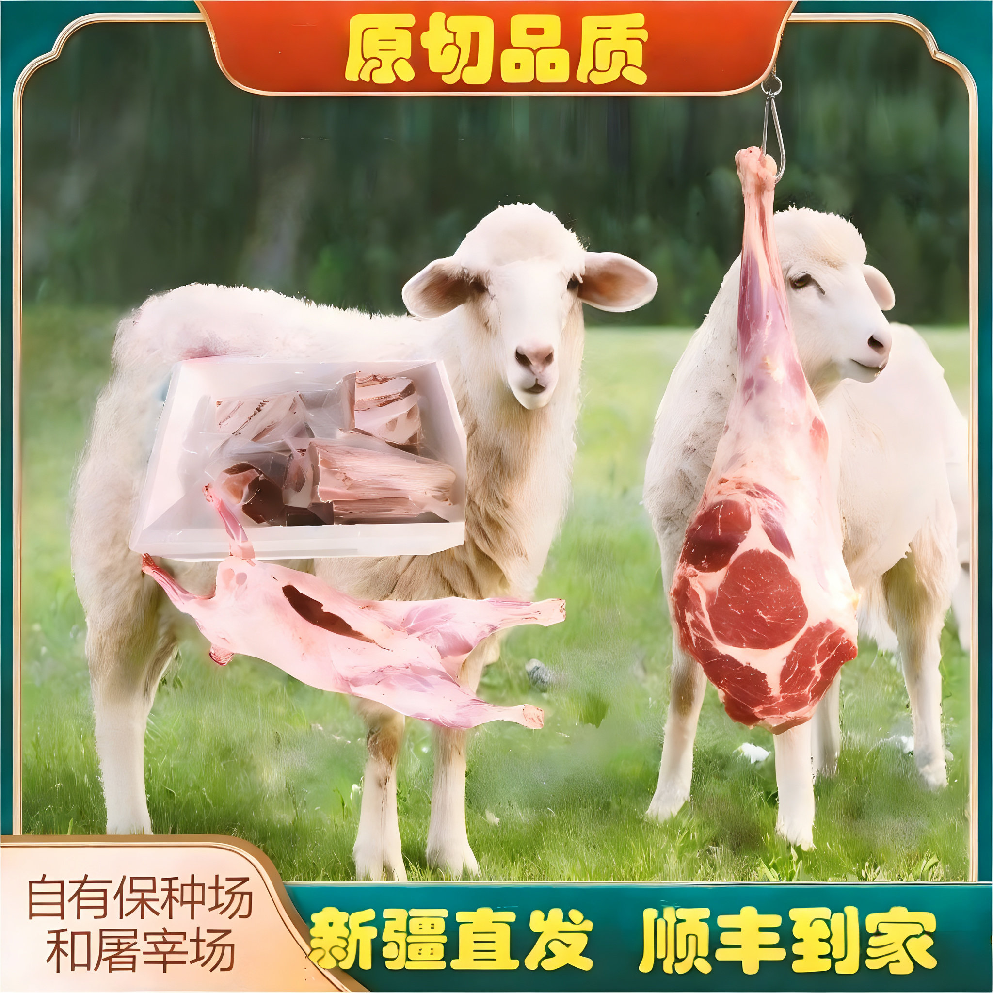 新疆高原牧场羊肉全家福原切精修塔什库尔干羊肉顺丰冷链包邮