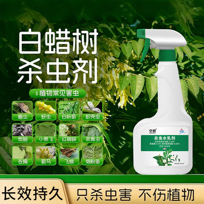 白蜡树钻心虫药虫子药杀虫剂虫害对节生虫蚜虫专用腻虫白蜡蚧天牛