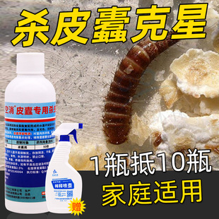 空消杀皮蠹虫杀虫剂家用除专灭皮蠹药黑毛皮蠹虫药幼虫卵喷雾剂粉