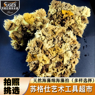 希腊海藻绵拍天然海藻拍三色珠光金箔银箔印花点彩涂刷艺术漆工具