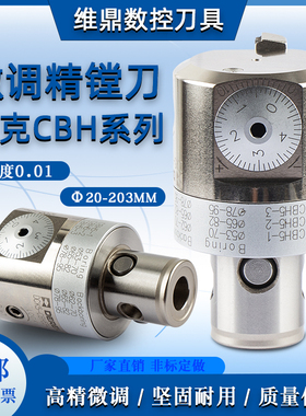 瑞典德克CBH20 25 32 41 53镗刀/DEREK精镗刀 微调精镗刀头搪孔器