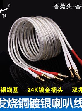 YYAUDIO 音箱线发烧级专业6N铜镀银喇叭线HiFi音响线香蕉头环绕线