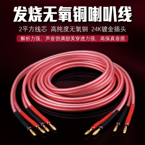 发烧喇叭线纯铜高保真HiFi中置