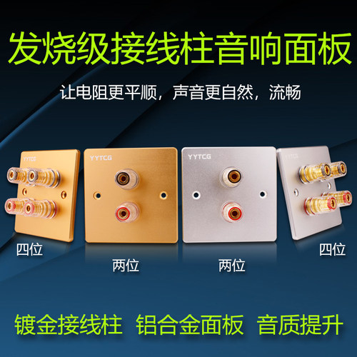 YYAUDIO 音响线接线柱面板插座家庭影音86型墙插hifi香蕉头接线板