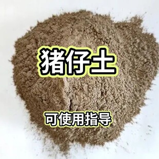 保真猪仔土提高学习悟性生育能力孕育繁衍能量净化增强磁场平安