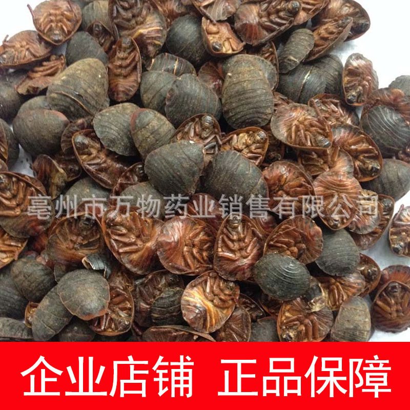 Earth element selected Earth element Chinese herbal medicines 500g Earth element Eupolyphaga Ground beetle Genuine securityin the Traditional nourishing food , Medicinal and Edible Food , Other Medicinal and Edible Food  category - from Buy2taobao.com to provide professional Taobao agent buy service