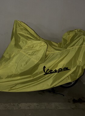 适用于VESPA维斯帕GTS300冲刺150春天125车衣台风LXV946车衣车罩