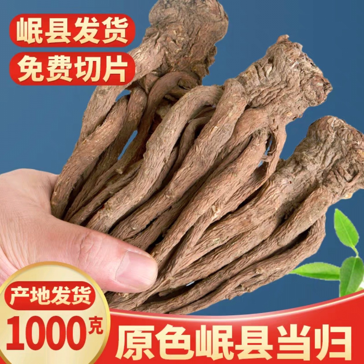 中药材甘肃岷县多年生产区直发特级无硫正品当归个500g整根气血