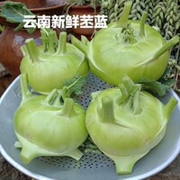 云南正宗无筋苤蓝新鲜大头菜荠菜头农家自种露天蔬菜现摘现发批发