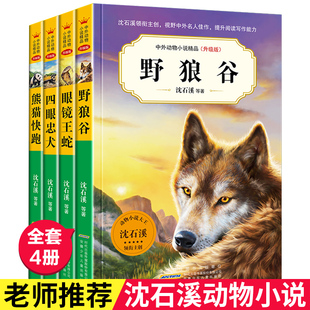 沈石溪动物小说全4册 野狼谷 四眼忠犬 故事书系儿童文学小学生课外阅读书籍三四五六年级必读 正版 眼镜王蛇 熊猫快跑等经典