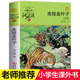 小学生课外阅读书籍6 虎娃金叶子 儿童文学三四五六年级必读儿童文学故事畅销书 12岁青少年版 沈石溪动物小说品藏书系升级版
