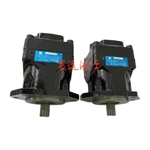 138 1N00 31100 102 B102 B102液压马达压铸机马达M4D1 M4D