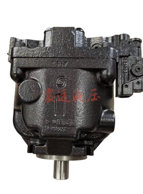 ERR100BLS2520NNN3K5NLA1NAAANNNNN液压柱塞泵油泵齿轮泵叶片泵