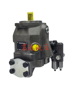 ALA10VO63EK1DS/53L-VSD12H00P-S2687液压泵总成液压柱塞泵