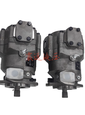 变量柱塞泵PAMB100-0038C/22液压泵高压泵PAMB100系列泵油泵