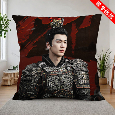张凌赫逐玉谢征周边双面抱枕定制宿舍沙发玩偶生日礼物靠垫枕头