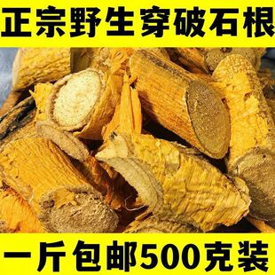 穿破石野生广西直发穿破石中药材正品穿破石根片川破石木柘根