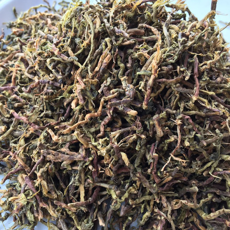30斤装 山蜜草加甜叶菊+ 天山乌龙草根 山密草 福音草