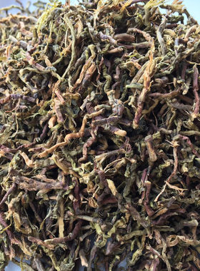 30斤装 山蜜草加甜叶菊+ 天山乌龙草根 山密草 福音草
