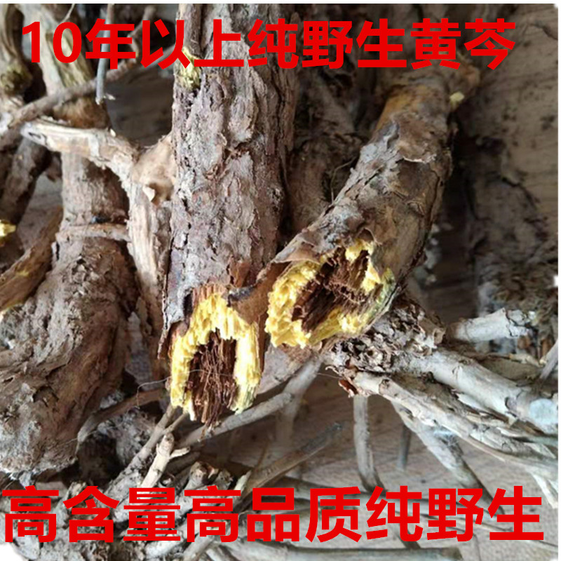 纯野生黄芩个子 老黄芩500克产地甘肃陇西深山采挖 枯黄芩 条芩子