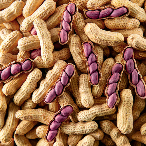 龙岩湿烤花生蒜香咸干