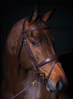 水勒 比利时dyon水勒 牛皮水勒 鞍具配件 马具 人马合一马具