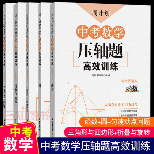 计划中考数学压轴高效训练