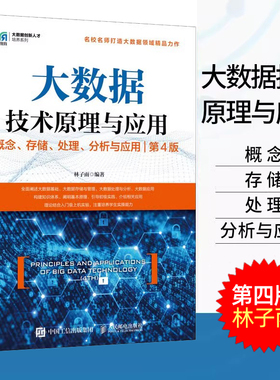 正版 大数据技术原理与应用：概念存储处理分析与应用 第四版 林子雨 第4版 高校大数据计算机信息管理等相关专业大数据课程教材书