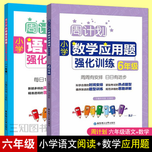 6年级数学计算题应用题专项训练同步天天练小学生小升初上册下册大全人教版 周计划小学六年级语文阅读理解强化训练100篇 暑假作业