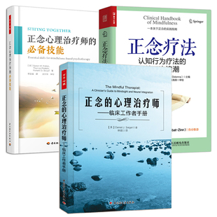 正念心理治療師 心理學書籍 3冊 第三次浪潮 心理治療師：臨床工作者手冊 正念認知減壓療法 正念 正念療法：認知行為療法 技能