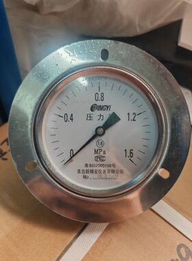 Y100ZT轴向带边压力表真空压力青岛新精密仪表水罐水压 气压