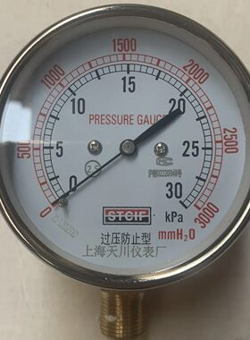 上海天川YE75膜盒压力表过压防止型燃气压力表