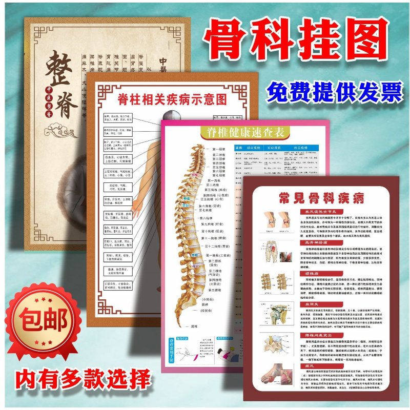 骨伤科人体脊椎健康速查表脊柱颈椎肌肉骨骼颈肩腰腿挂图海报贴纸