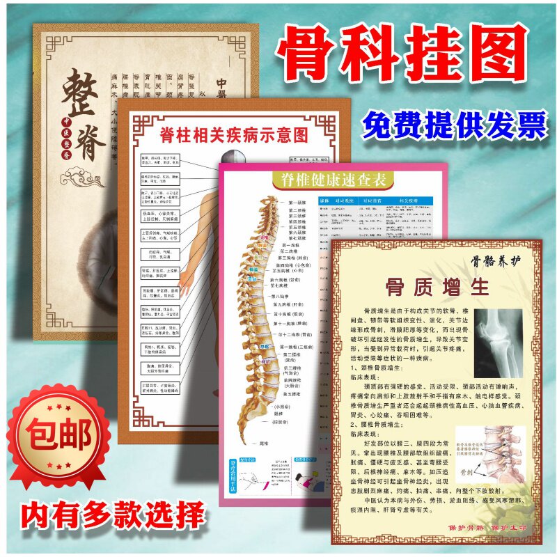 医馆骨科人体颈椎脊柱颈脊椎腰椎间盘剖图知识海报挂图腰椎管狭窄